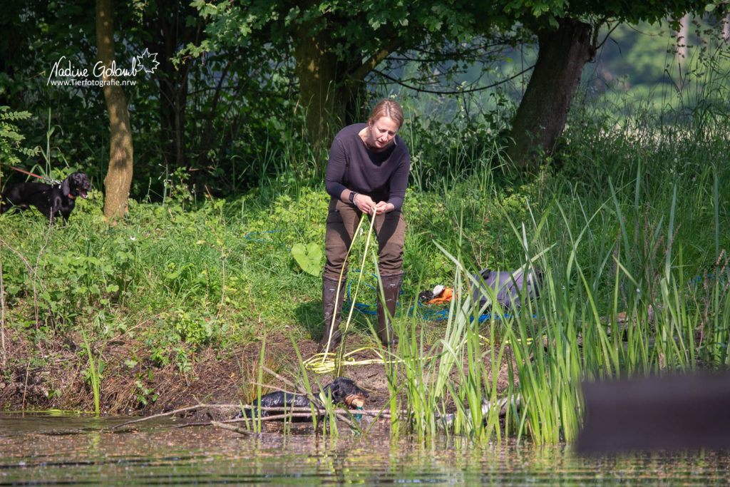 Wassertraining / BHP-Vorbereitung DTK OLfen