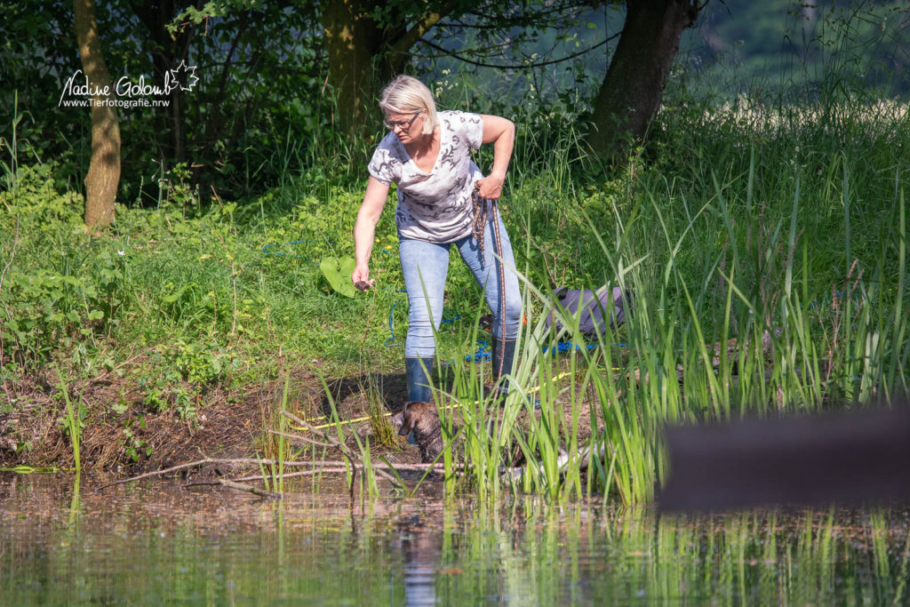 Wassertraining / BHP-Vorbereitung DTK OLfen