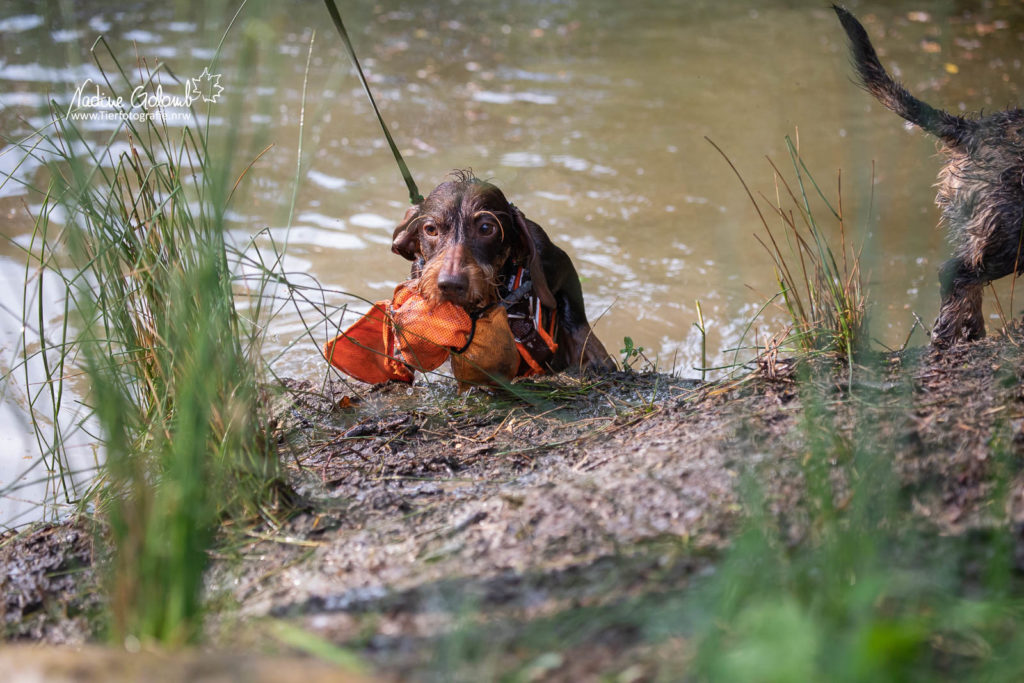 Wassertraining / BHP-Vorbereitung DTK OLfen