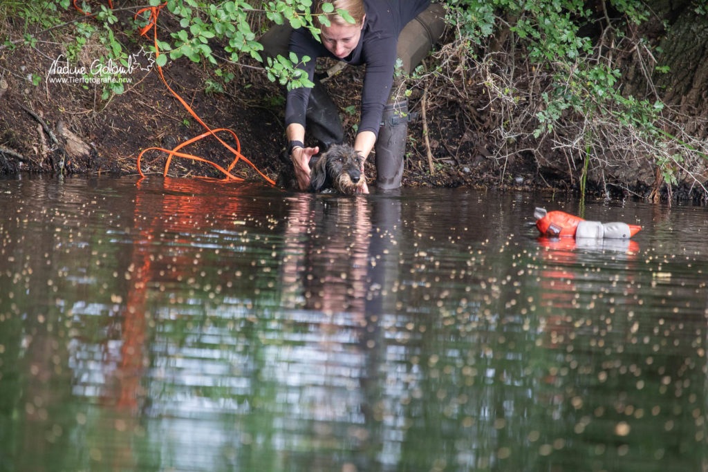 Wassertraining / BHP-Vorbereitung DTK OLfen