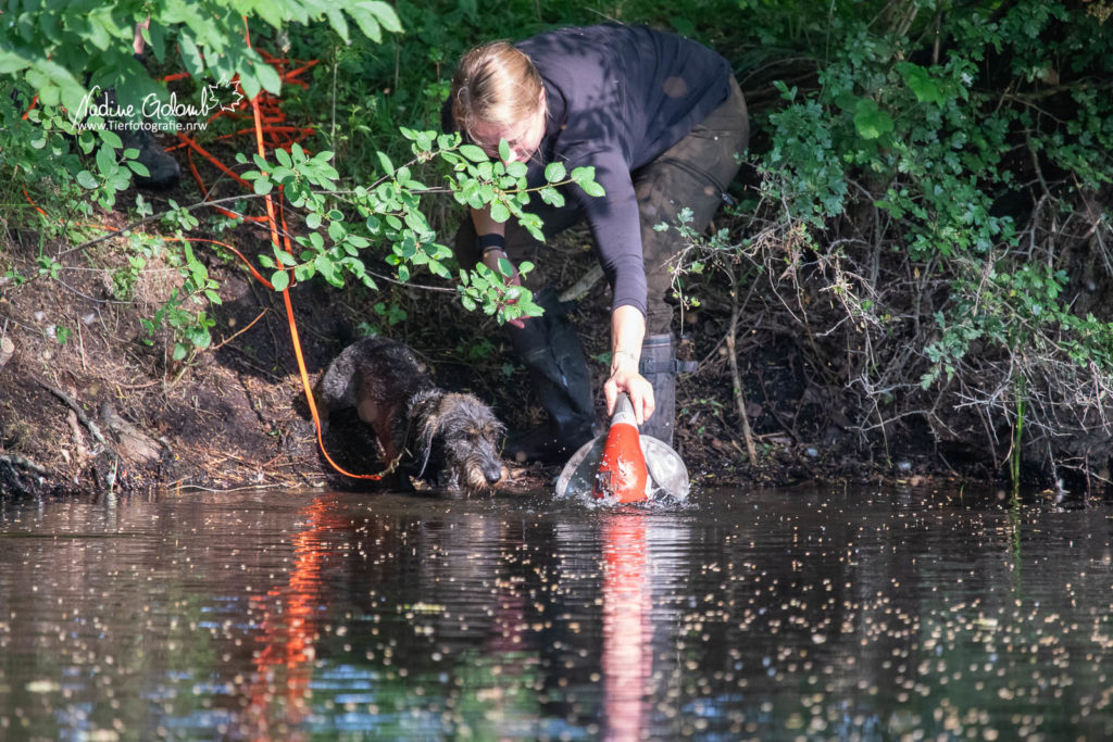 Wassertraining / BHP-Vorbereitung DTK OLfen