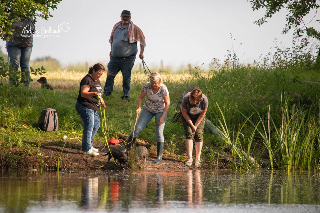 Wassertraining / BHP-Vorbereitung DTK OLfen