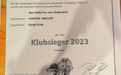 Erfolg auf der Klubsieger-Ausstellung