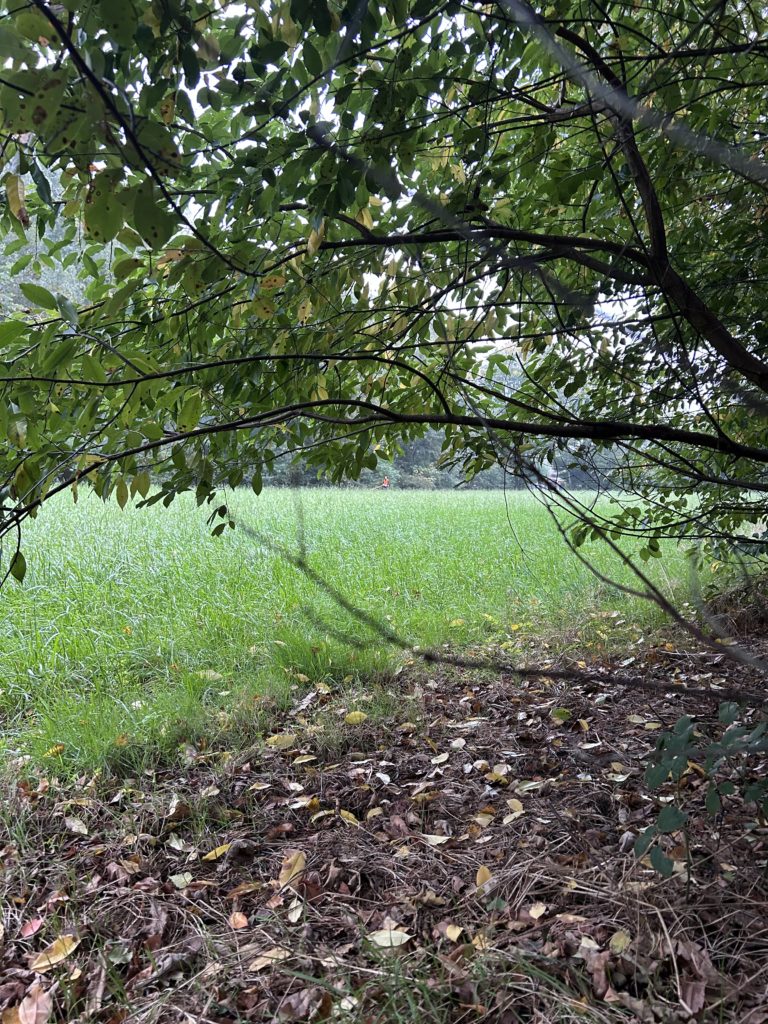 BHPS Oktober 25 beim DTK Olfen