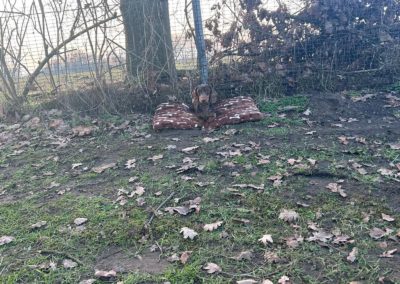 BHP-1 am 07.02.2026 DTK Olfen-Sandfort